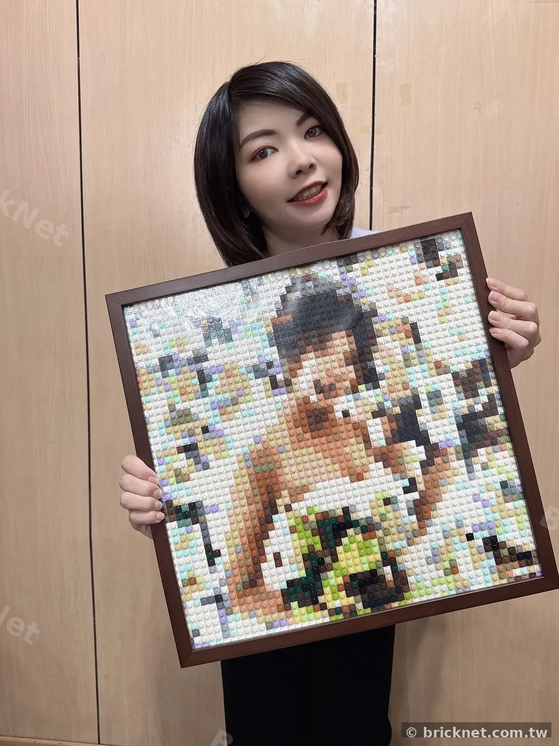 Gerahmtes Brick-Mosaik-Kundenwerk geteilt von einem BrickNet-Creator
