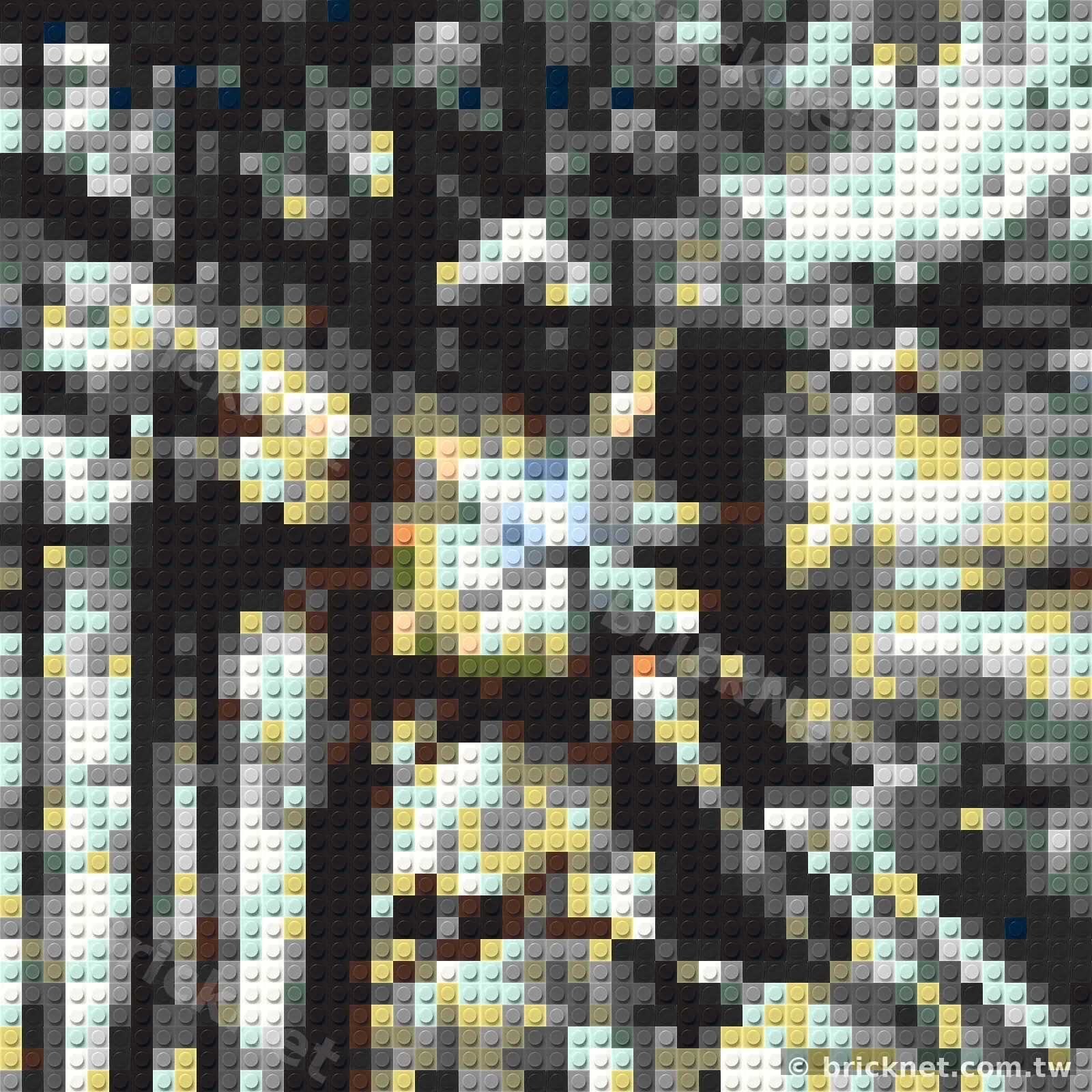 Brick-Noppen 3D-Struktur Nahaufnahme — BrickNet Handwerk