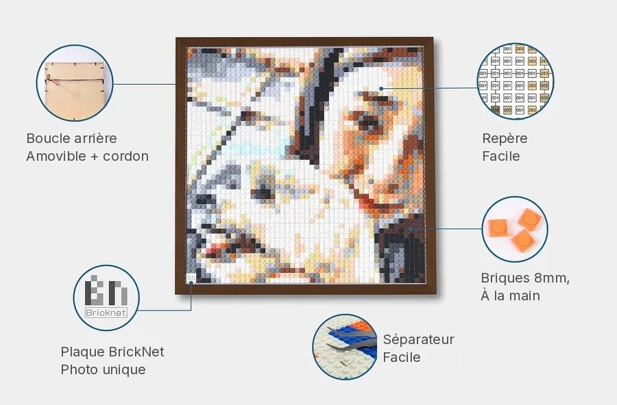 Contenu du kit mosaïque de briques vue de dessus — BrickNet