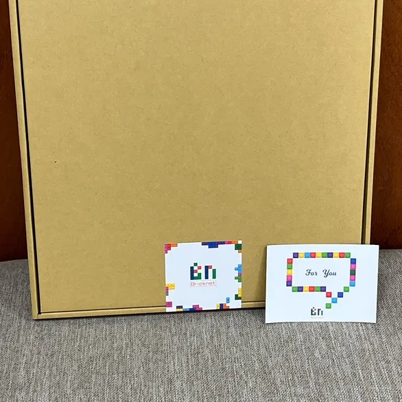 Boîte carton 40 cm - BrickNet
