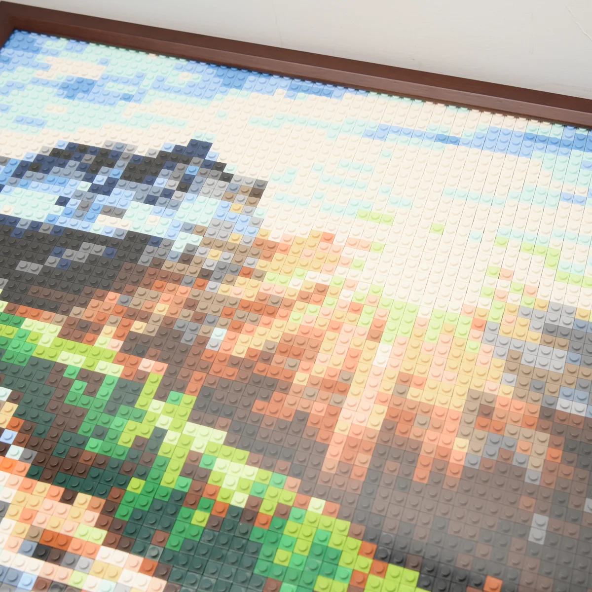 Cadre 50 cm avec protection acrylique - BrickNet
