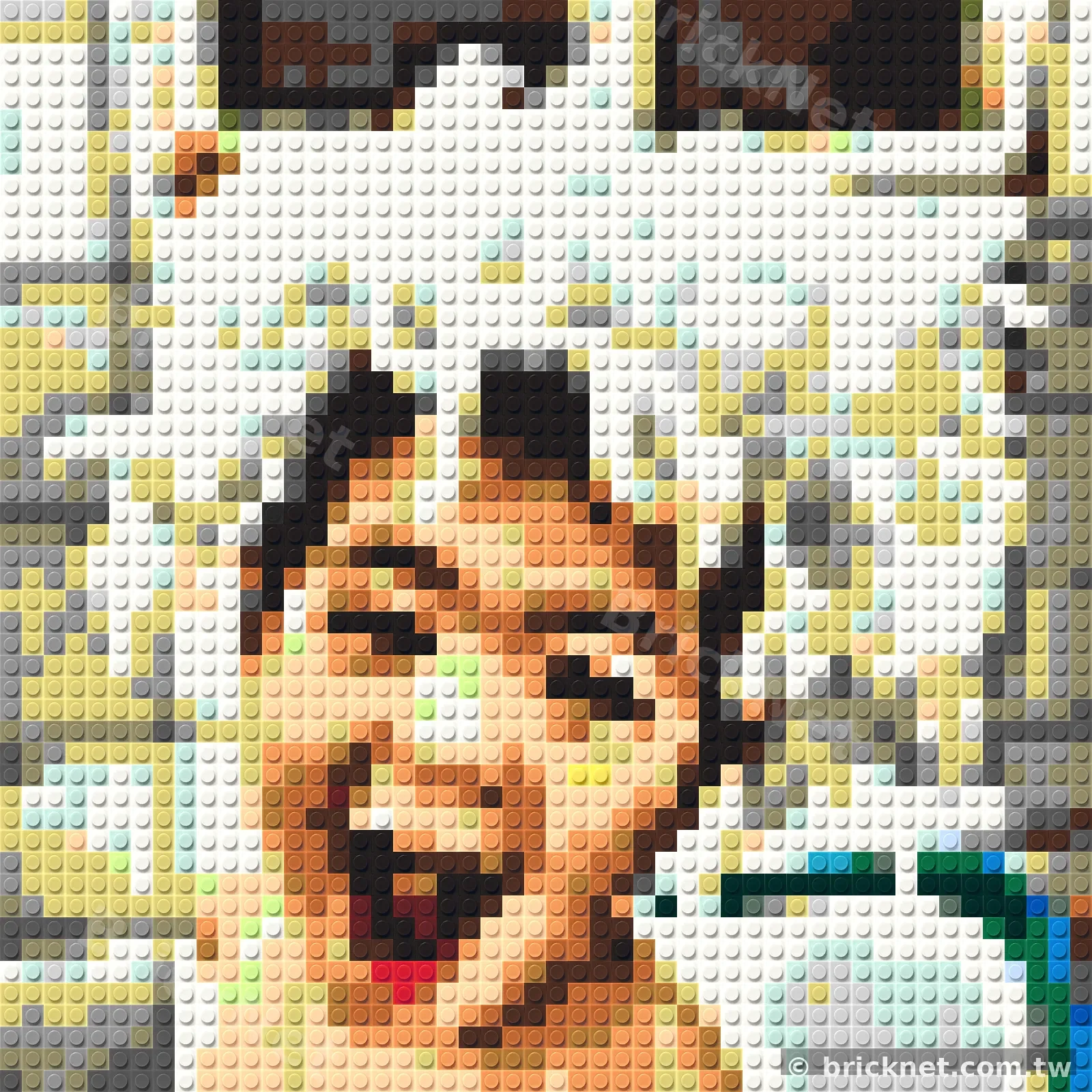 ブロックの全体質感クローズアップ — BrickNet ブロックモザイクの技巧